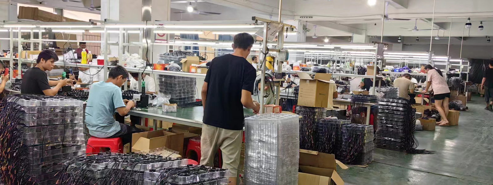 Guangzhou Baobao Lighting Co., Ltd. linea di produzione del fabbricante